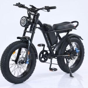 DRIFT SLIDE EMB009 New Design 750W Mountain Electric Bicycle Out Door With Fat Tire 20''Ebike